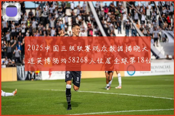 2025中国三级联赛观众数据揭晓大连英博场均58268人位居全球第18位